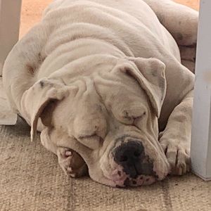 Meet your Posher, Alina